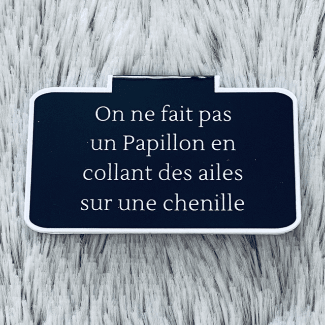 Marque-pages magnétique Évolution 